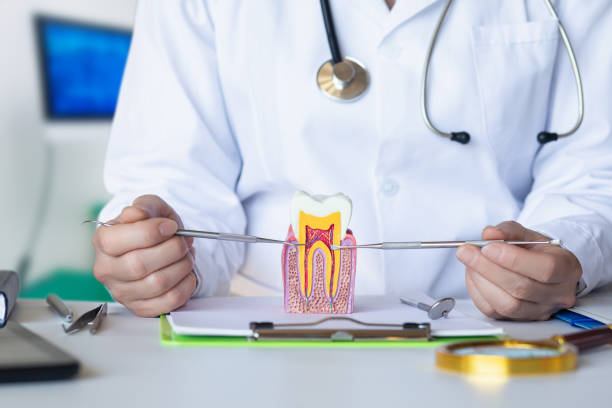 Best Root Canal Emergency Dentist  in Ely, IA